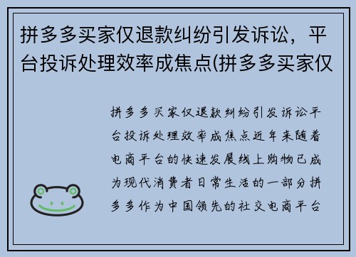拼多多买家仅退款纠纷引发诉讼，平台投诉处理效率成焦点(拼多多买家仅退款申请质量问题怎么办)
