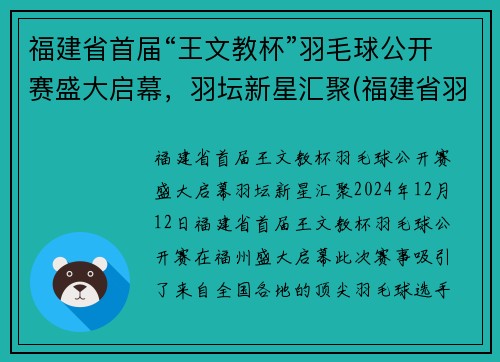 福建省首届“王文教杯”羽毛球公开赛盛大启幕，羽坛新星汇聚(福建省羽毛球比赛2020)