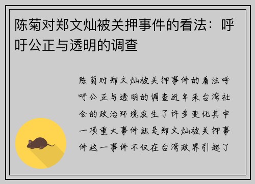 陈菊对郑文灿被关押事件的看法：呼吁公正与透明的调查
