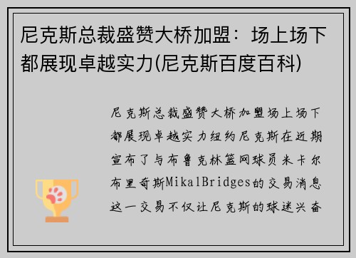 尼克斯总裁盛赞大桥加盟：场上场下都展现卓越实力(尼克斯百度百科)